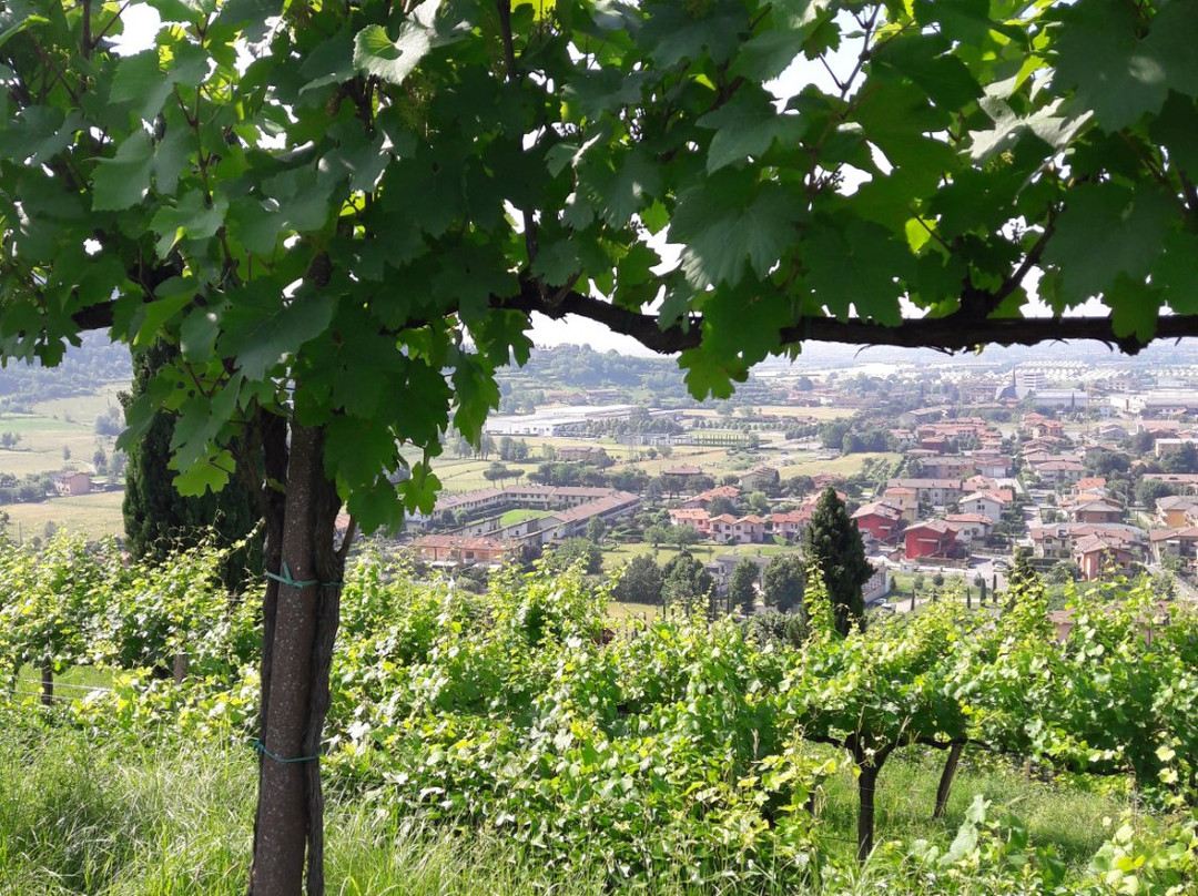 Saras Italy-圣佩莱格里诺泰尔梅必去景点
