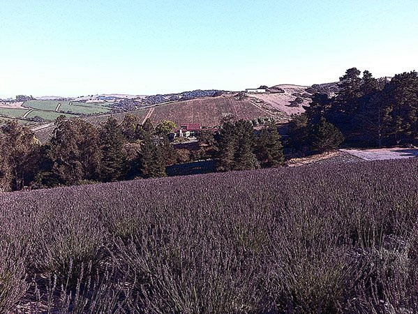 Monte-Bellaria Di California-Sebastopol必去景点