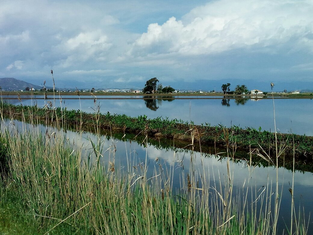 Parc Natural del Delta de l'Ebre-加泰罗尼亚必去景点