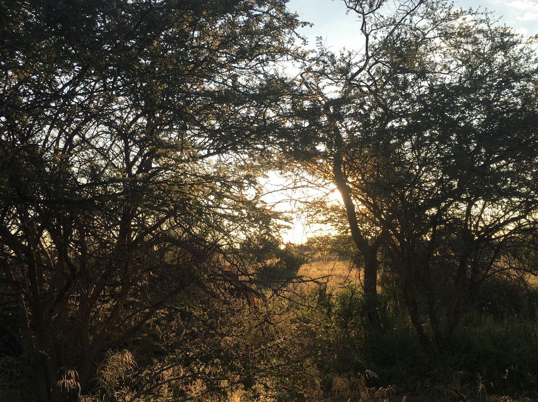 Desert Ace Tours & Charters-斯瓦科普蒙德必去景点