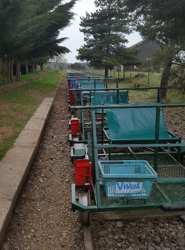 Velorail de Pradelles景点图片