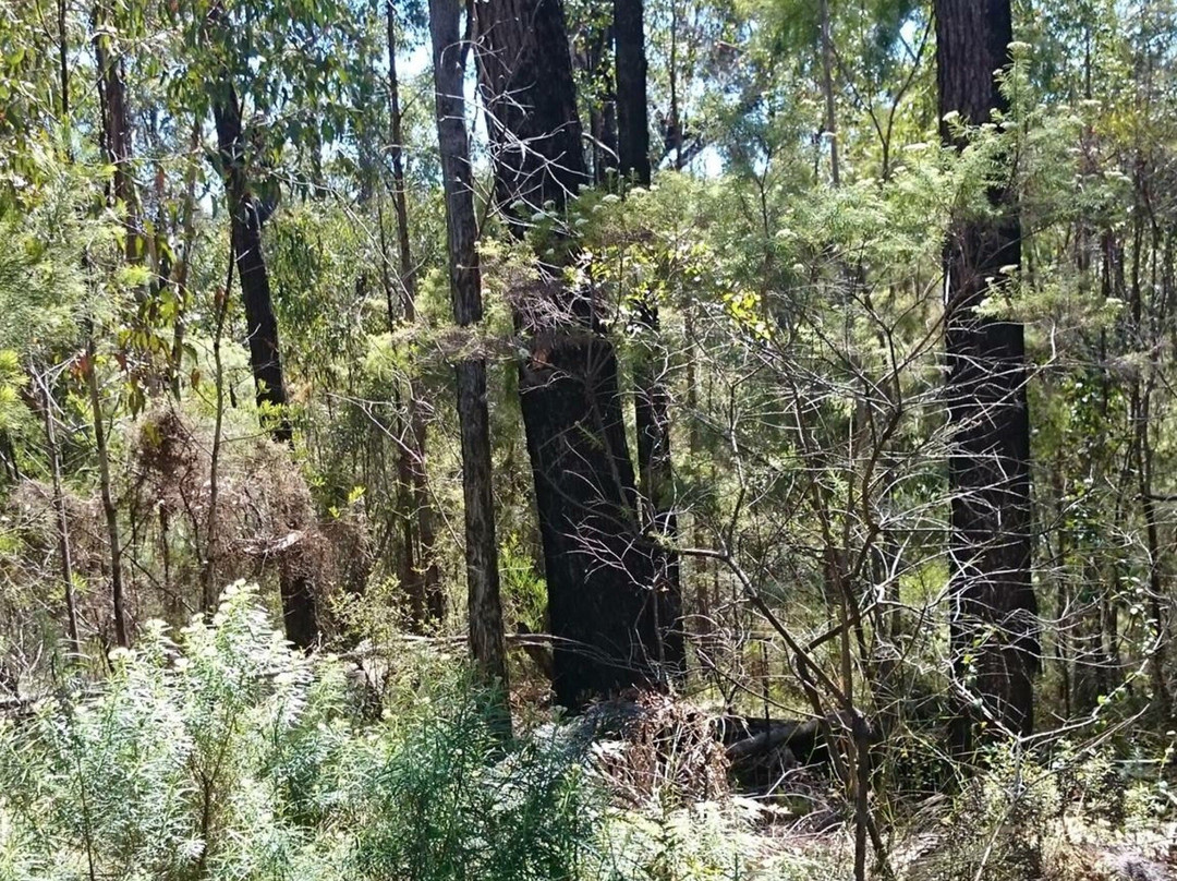 Lind National Park-墨尔本必去景点
