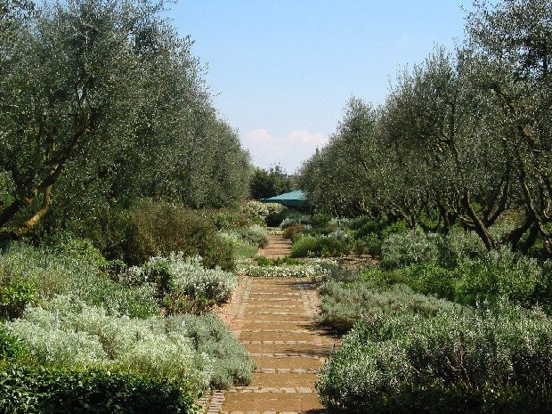 Giardini della Landriana景点图片