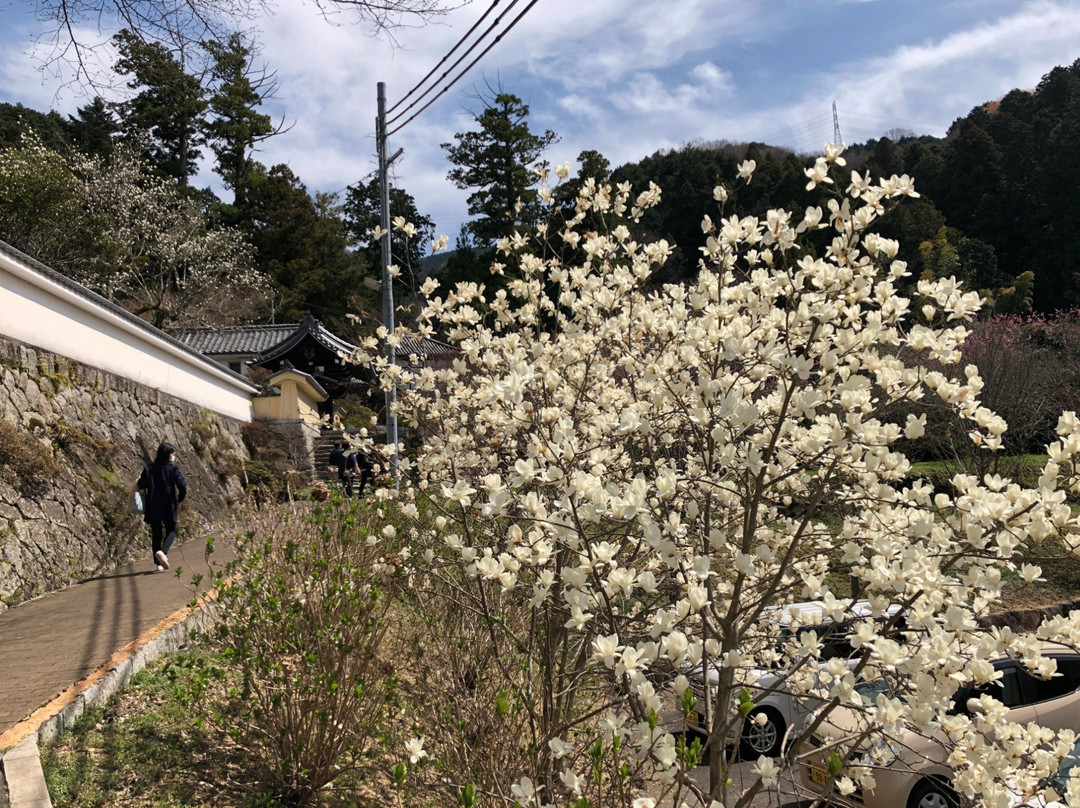 Hirokawa-dera Temple-河南町必去景点