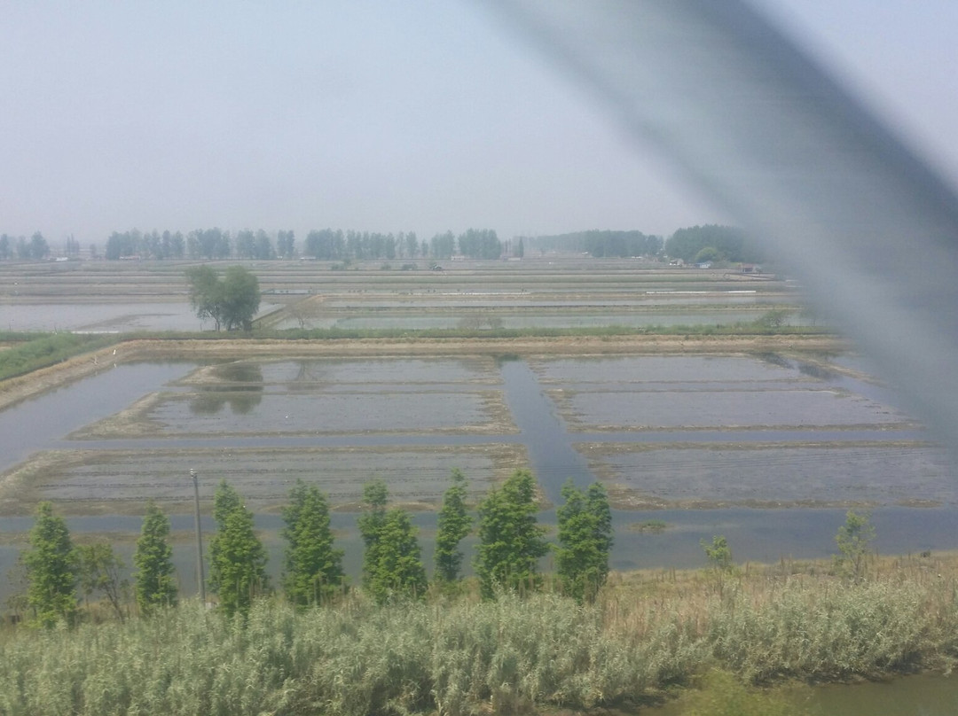 石臼湖景点图片