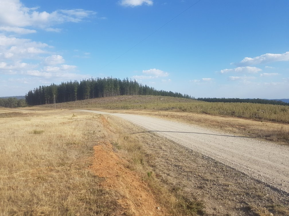 Mount Stanley Look Out-Stanley必去景点