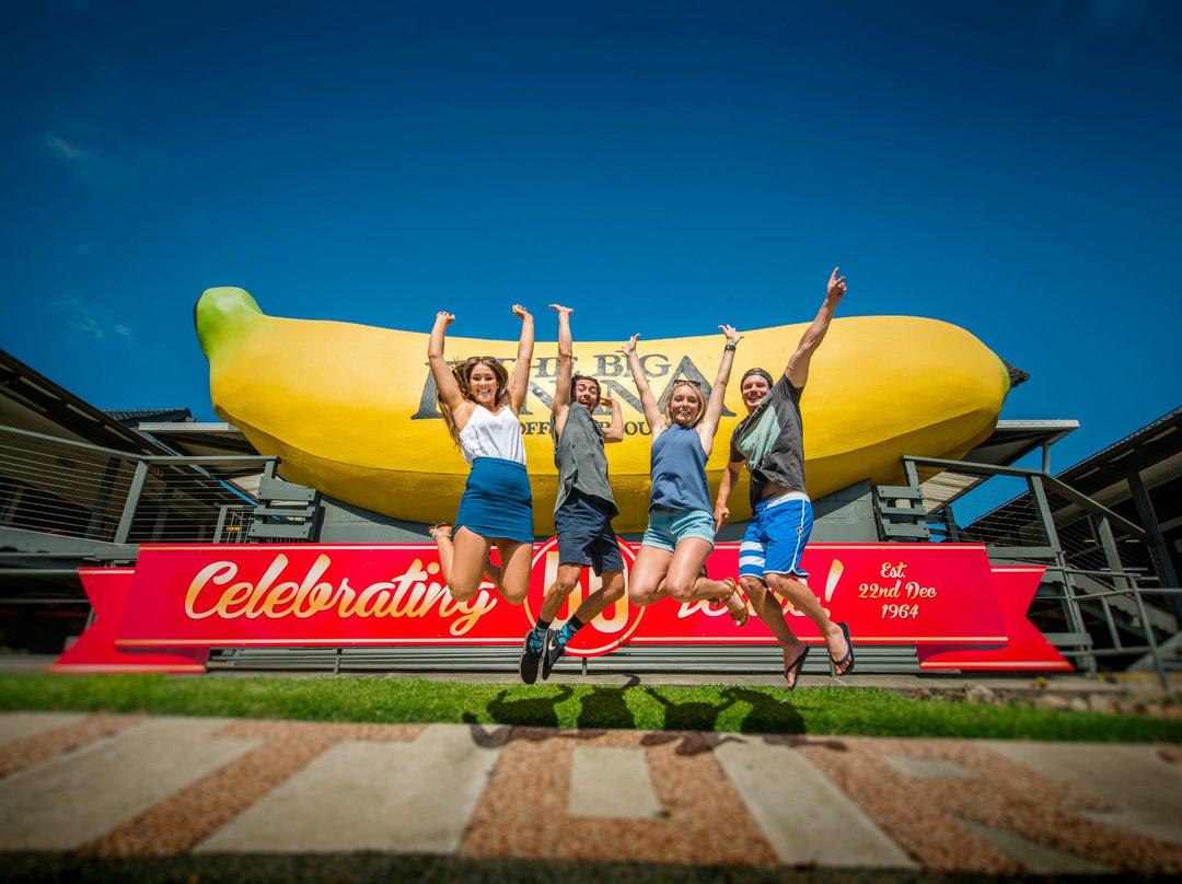 The Big Banana Fun Park景点图片