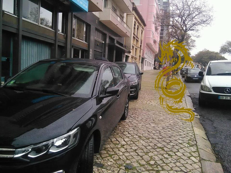 Acrobatic Dragon Private Chauffeur景点图片