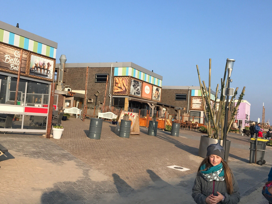 Langevelderslag Beach-诺德韦克必去景点
