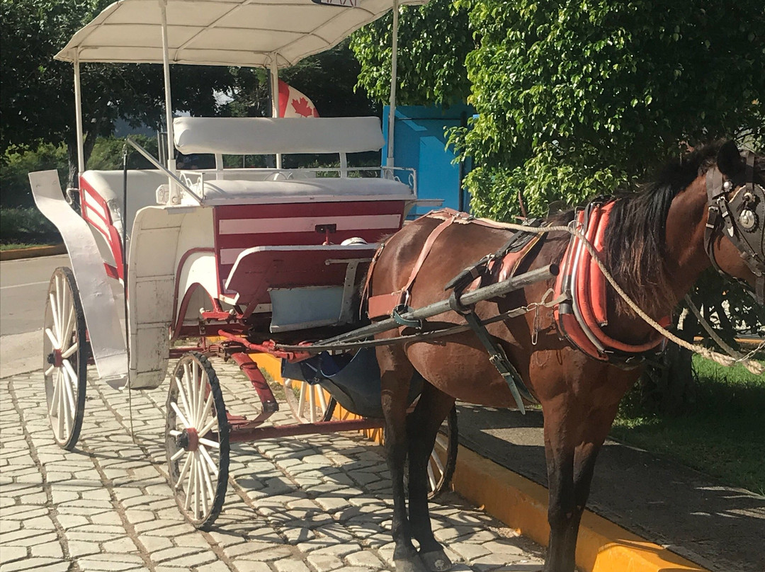Cuba Horseback Rides景点图片