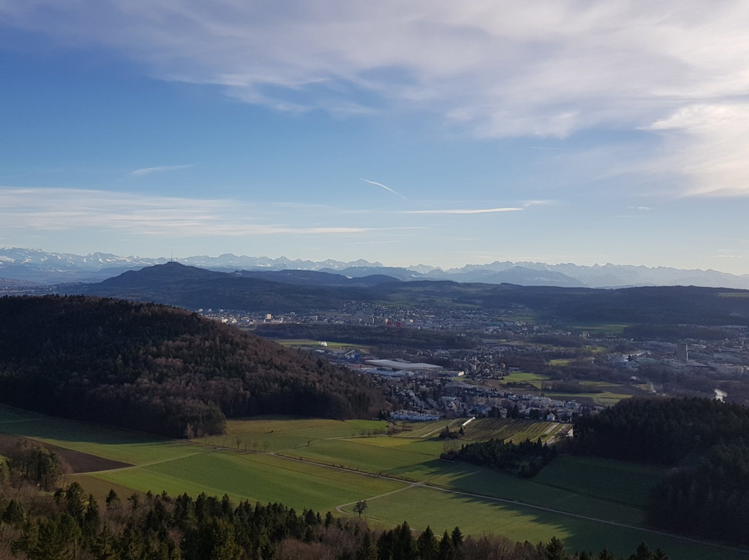 Dällikon旅游攻略图片