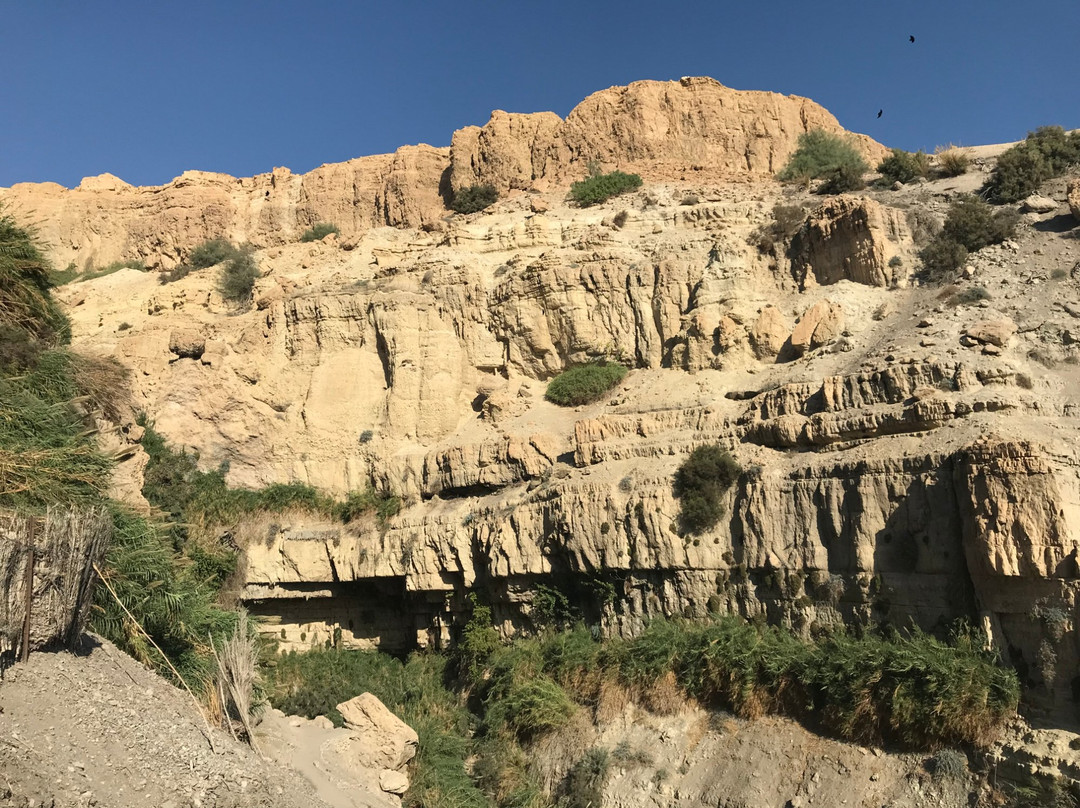 Ein Gedi Botanical Garden景点图片