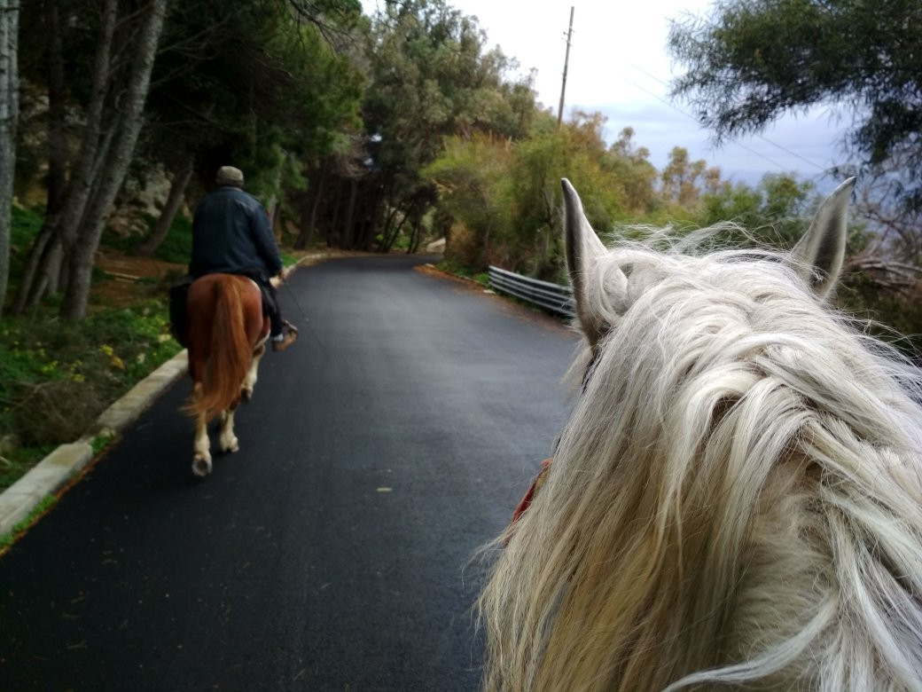 Bidnija Horse Riding-Mosta必去景点