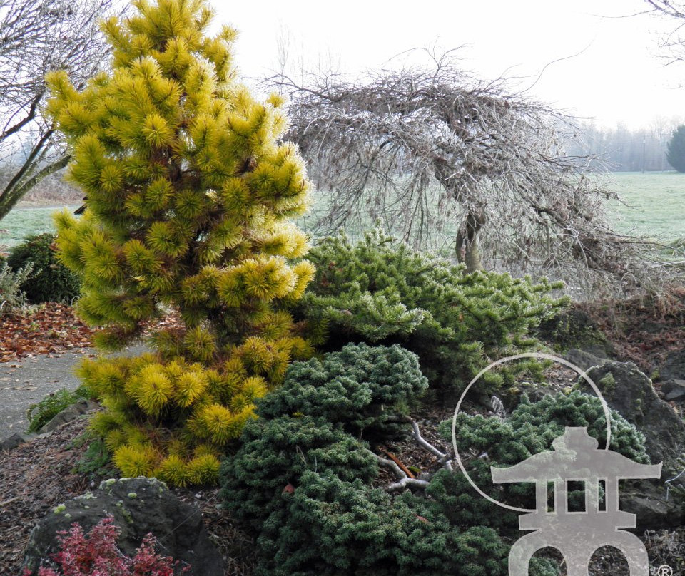 Lael's Moon Garden Nursery-Rochester必去景点