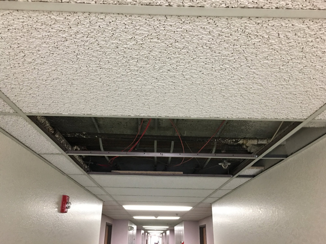 福乐顿戴斯套房酒店主图