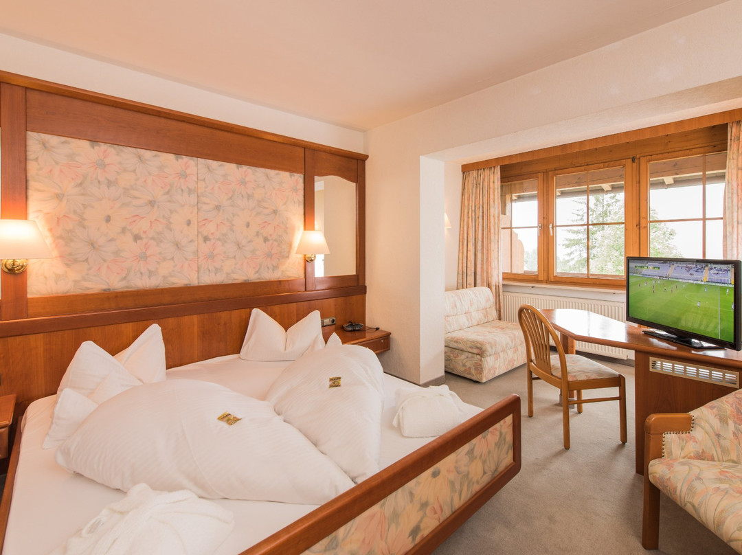 Alpenhotel Sonneck主图
