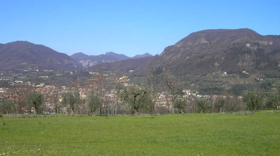 Agriturismo la Scala主图