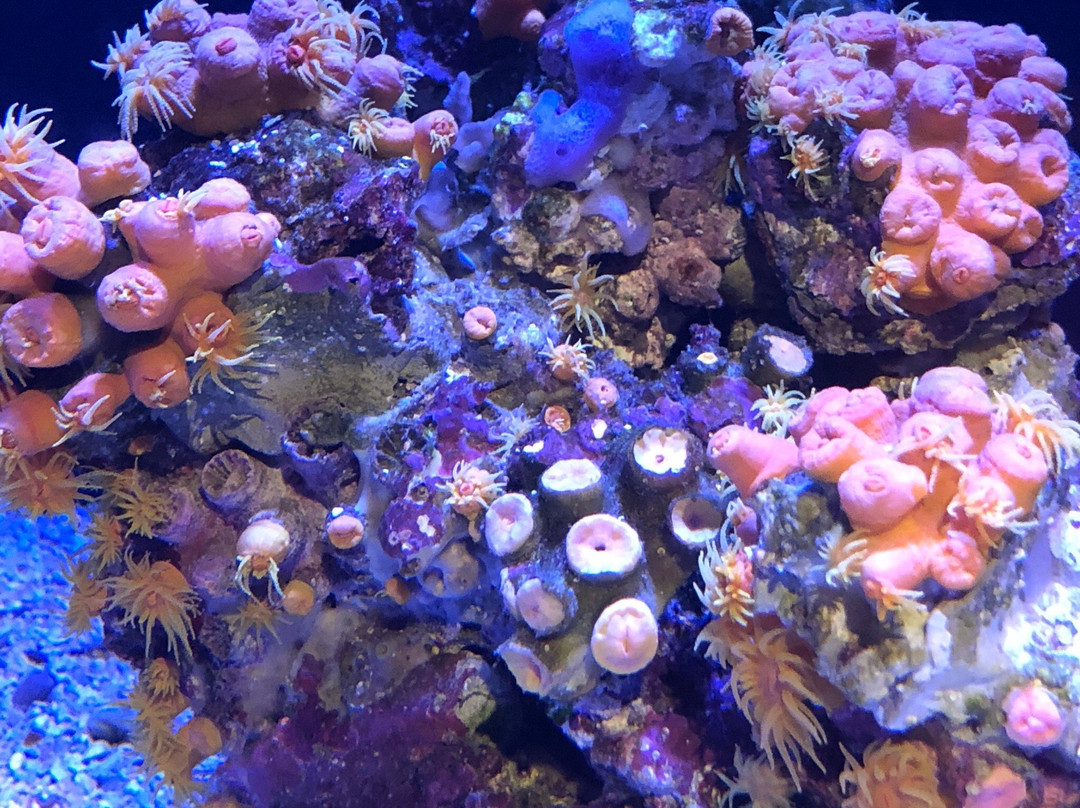 Ocean Science Discovery Center-怀露库必去景点