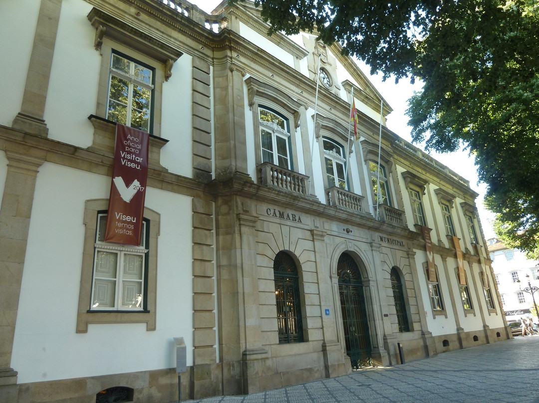 Câmara Municipal de Viseu景点图片