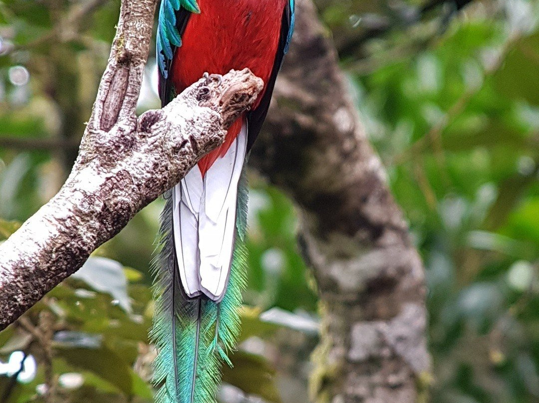 Costa Rica Wild Tours景点图片