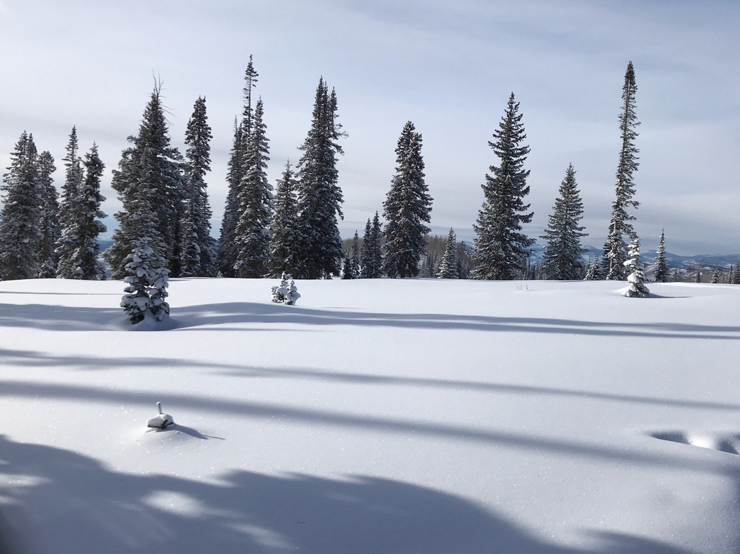 Steamboat Powdercats景点图片