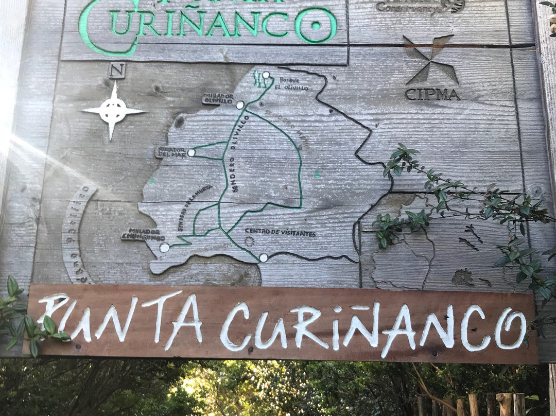 Reserva Punta Curinanco景点图片
