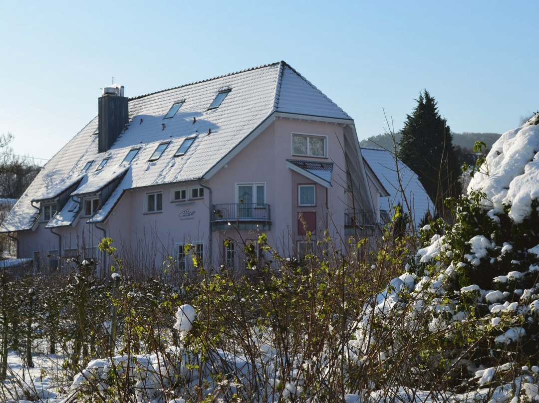 Hotel und Restaurant Castell主图