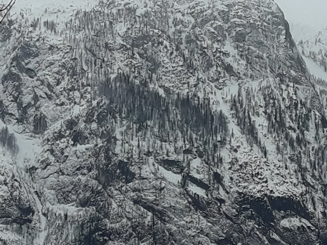 Gasthof Weisses Roessl主图