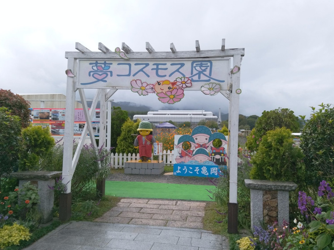 Kyoto Tamba, Kameoka Yumecosmos Garden-龟冈市必去景点