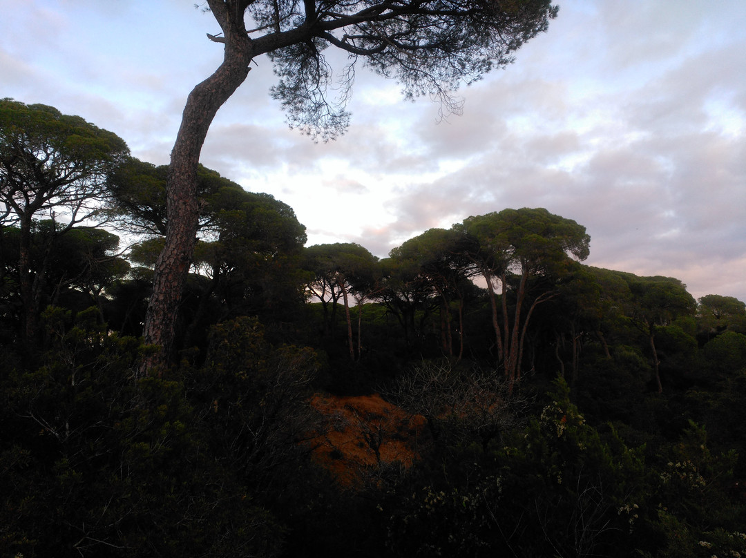 Parque de las Canteras-Puerto Real必去景点