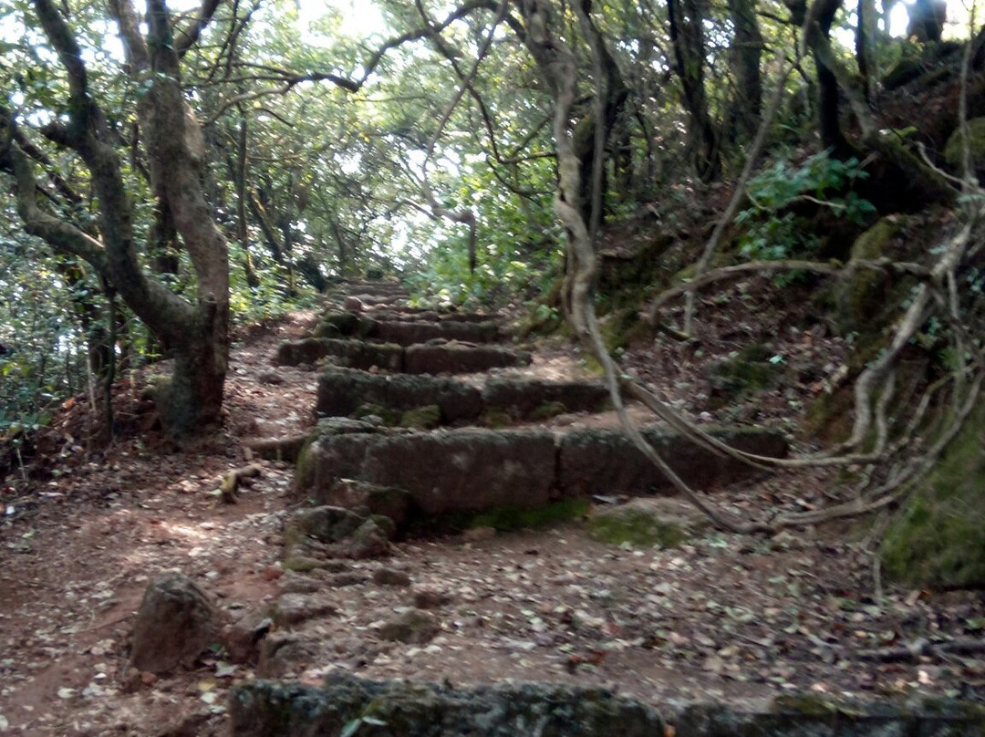 Connaught Peak景点图片