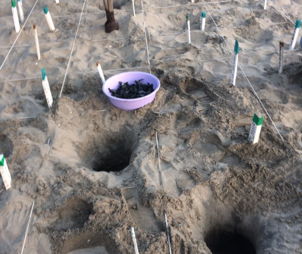 ECOT-Troncones必去景点