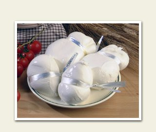 Caseificio Murgiano-Triggiano必去景点