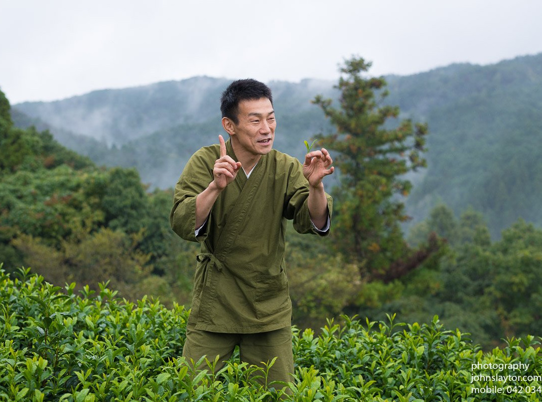 Kyoto Obubu Tea Farms-和束町必去景点
