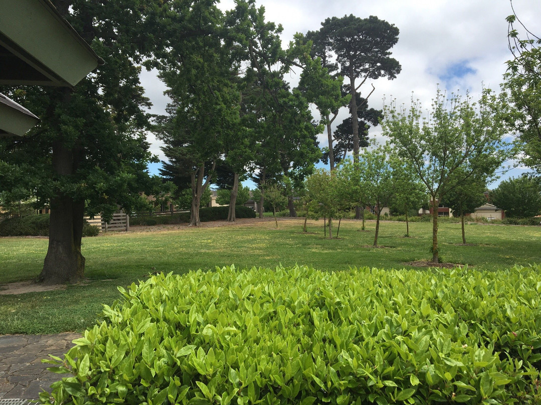 Kennels Lane Playground景点图片