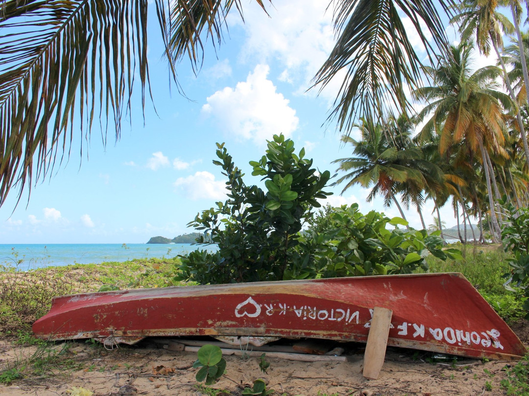 Punta Bonita-拉斯特拉纳斯必去景点