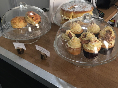 Captain Teds-纽卡斯尔必去景点