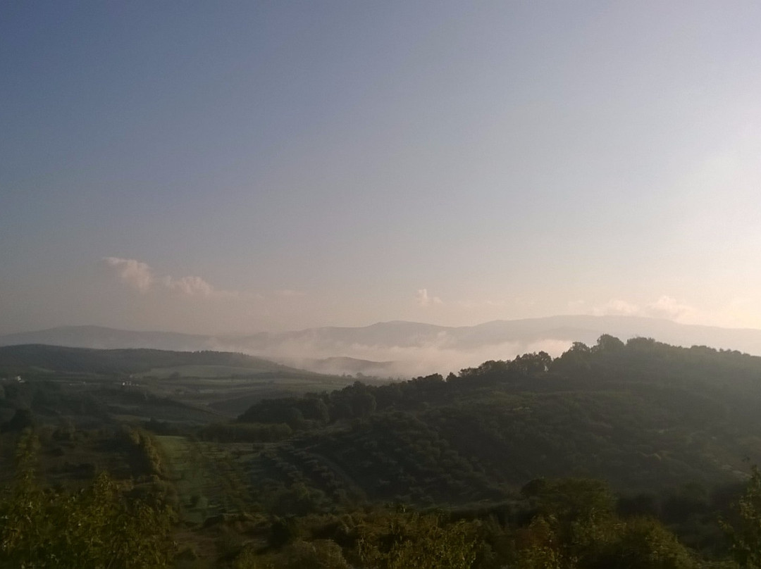 Riserva Naturale Macchia di Gattaceca e Macchia del Barco景点图片