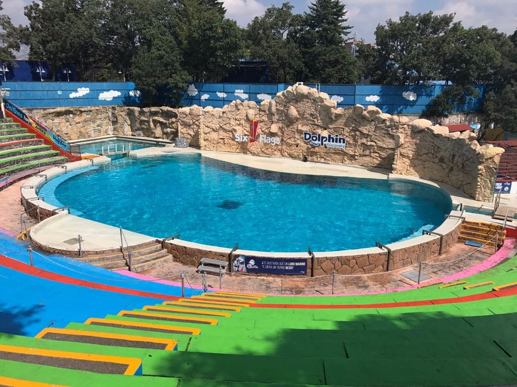 Dolphin Discovery-墨西哥城必去景点