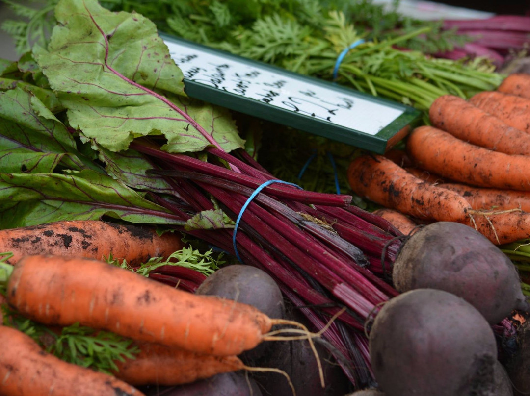 Kirkcudbright Farmers & Producers Market景点图片