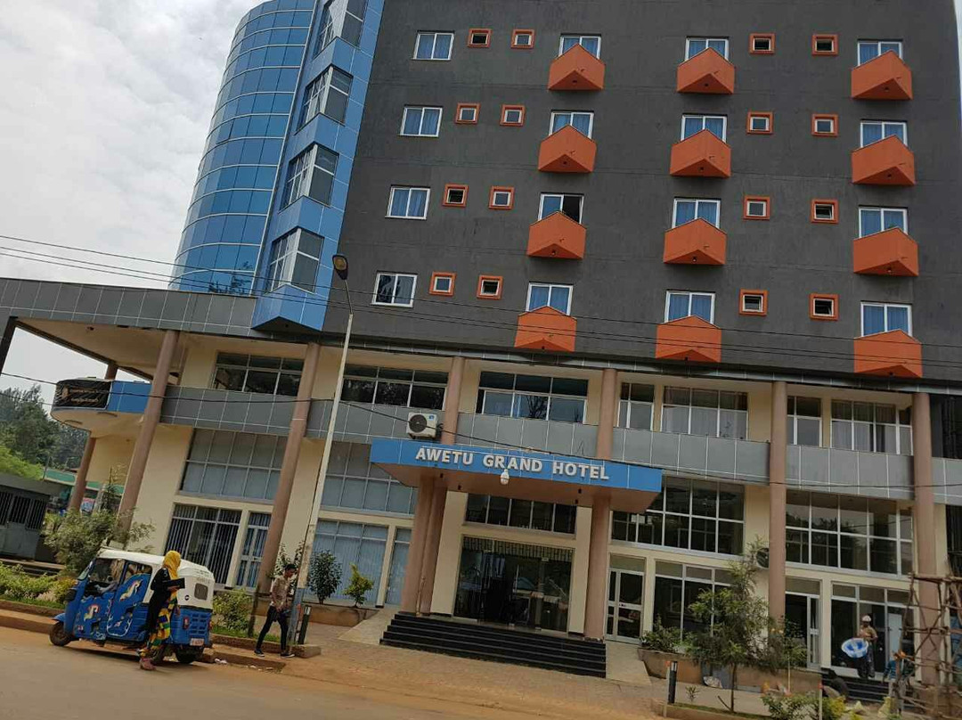Awetu Grand Hotel主图