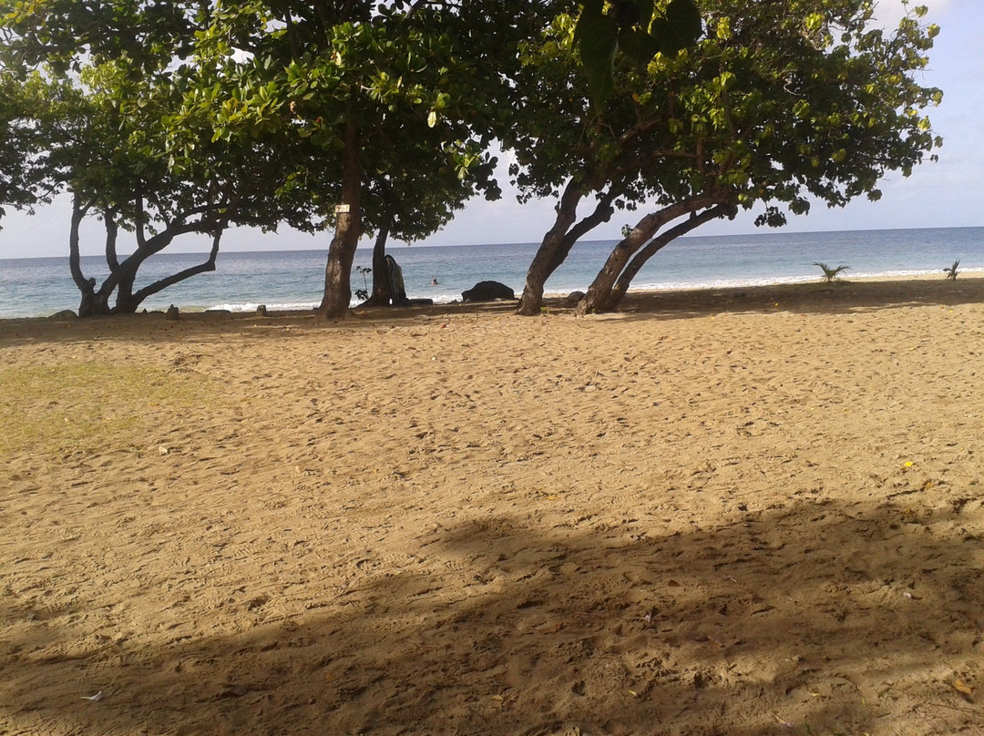 Gros Raisin-圣吕斯必去景点