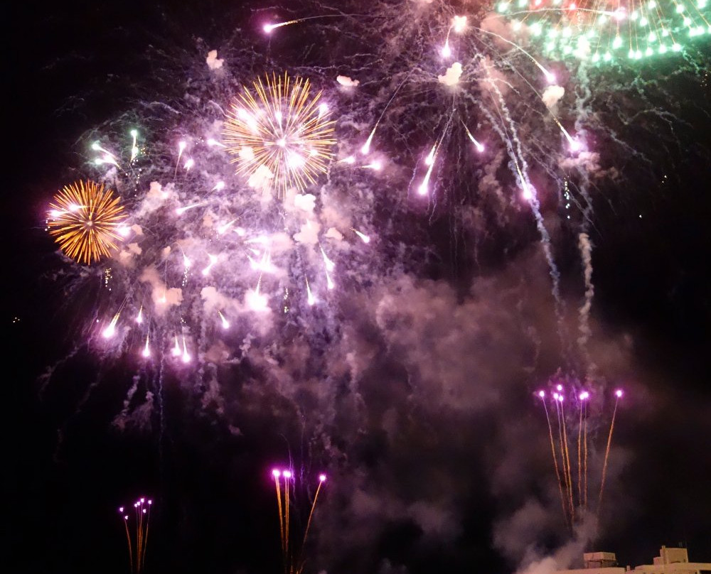 Oyama Fireworks-小山市必去景点