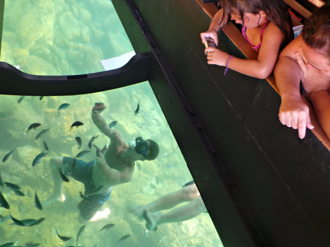 Barquario-乌巴图巴必去景点