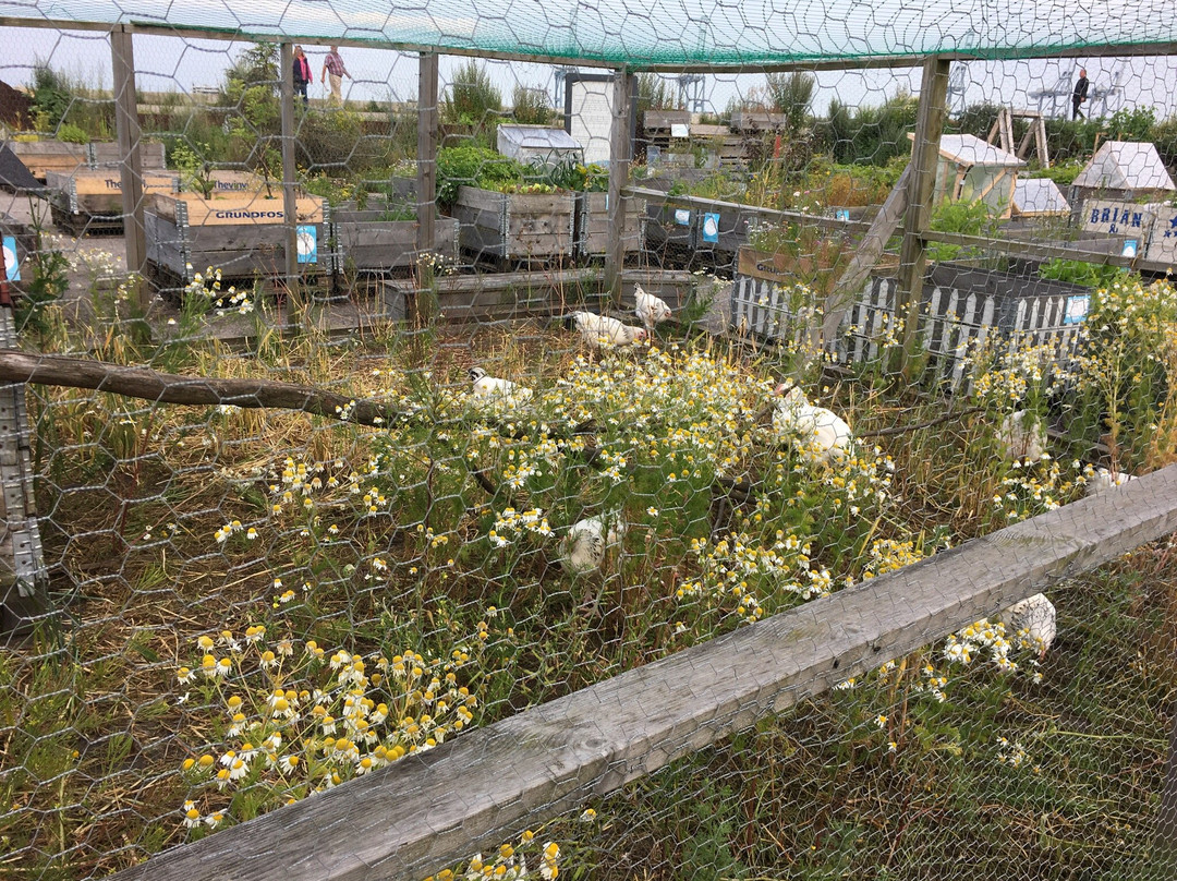 Ø-Haven-欧胡斯必去景点