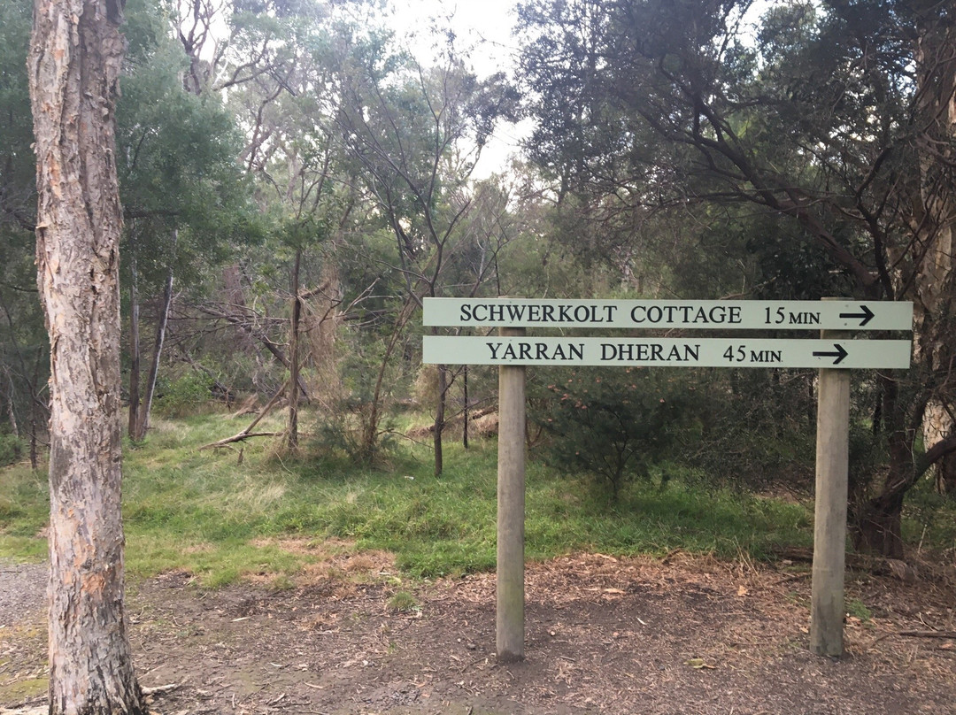 Antonio Park-Mitcham必去景点