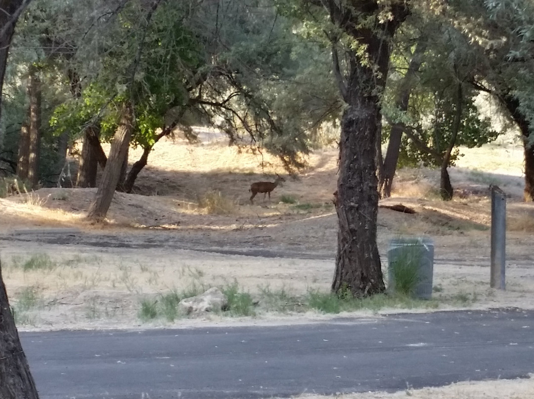 Rye Patch State Recreation Area-Lovelock必去景点