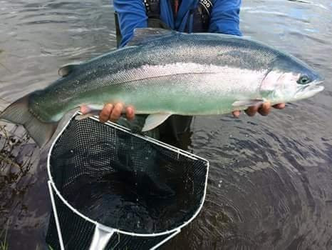 Lomond Hills Fishery-Glenrothes必去景点