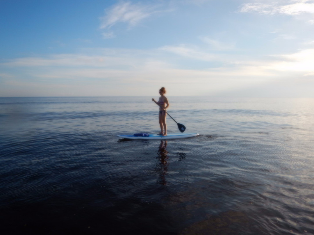 Barefoot Kayak & Paddle Board Rentals景点图片