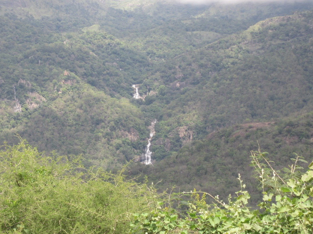 Ayyanar Falls-Rajapalayam必去景点